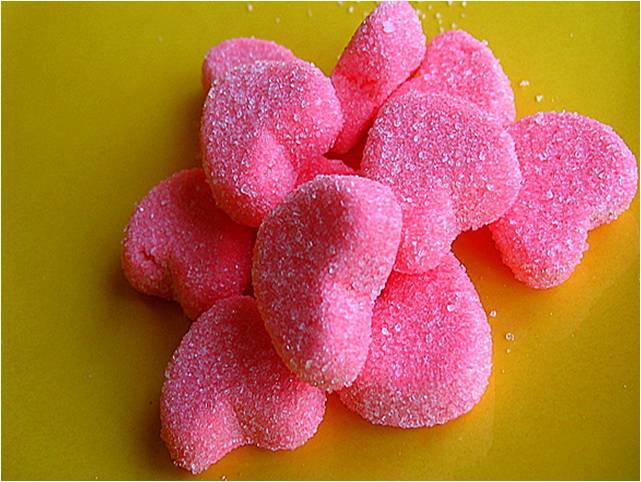 coup-de-coeur