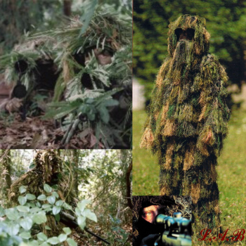 Max | FOMEC snipers.png