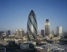 photo-gherkin.jpg