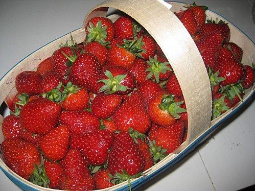 blog conf fraise