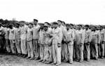 Témoignage indispensable Déportés homosexuels à Buchenwald.jpg