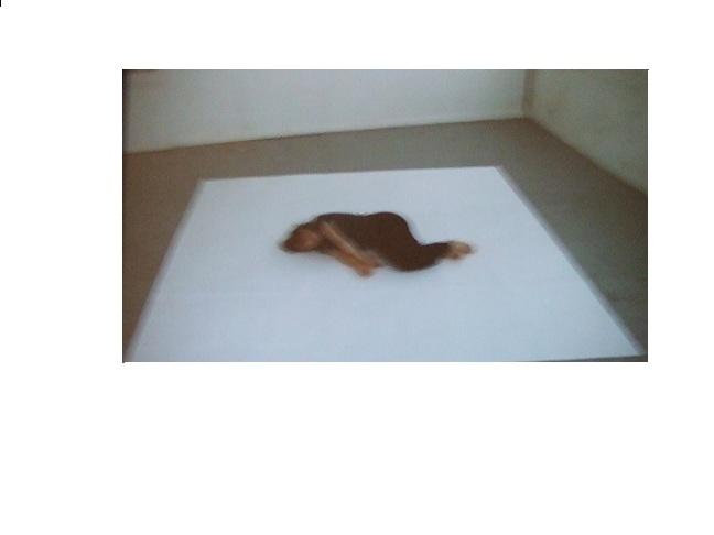 Dora Garcia choregraphie du songe garcia-2.1272843733.jpg