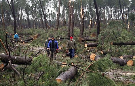 tempete klaus subvention etat landes tempete klaus subvention etat landes