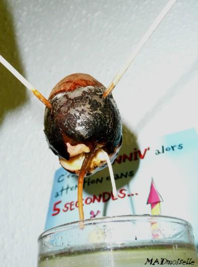 Il s'ouvre ! Il s'ouvre !