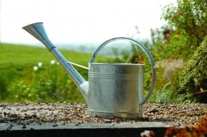 Les outils du jardinier indispensables !