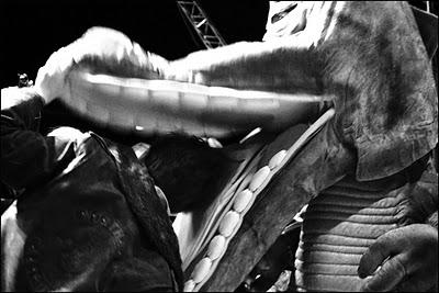 dans la gueule du loup dans la gueule du loup