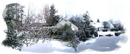 Snow2009.jpg