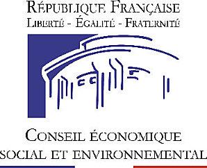 CESE « LA CONJONCTURE ÉCONOMIQUE SOCIALE ET ENVIRONNEMENTALEEN 2010 » CESE