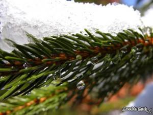 Neige d'hiver en Auvergne Neige d'hiver en Auvergne