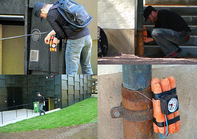 12 images drôles et insolites carottes-dynamite