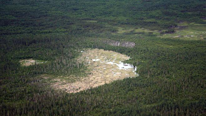 Un immense barrage de castors découvert grâce à Internet Barrage de Cators au Canada