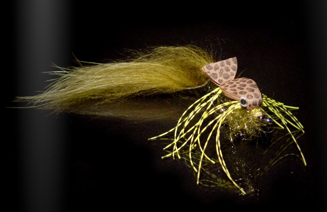 Image 1 SIMON’S WISDOM – LE BON SAVOIR DE SIMON