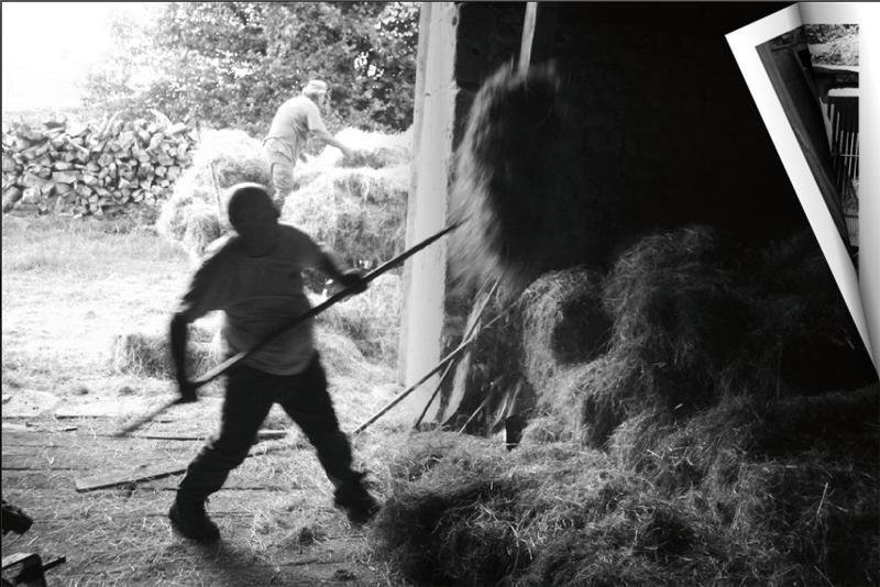 Humanistic Report N°5 : Le Rythme des Saisons Humanistic Report N°5 : Le Rythme des Saisons