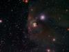 T Tauri T Tauri