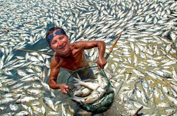 vilmo DYNAMITE FISHIN’