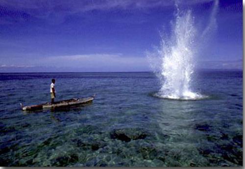 Peche_a_la_dynamite DYNAMITE FISHIN’