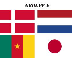 Coupe du Monde 2010 : le Groupe E !