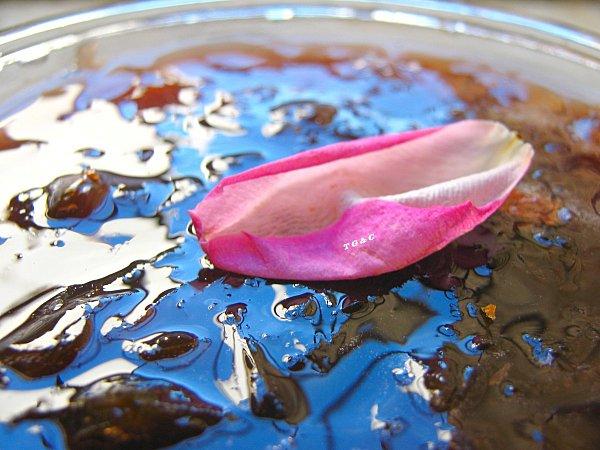 Confiture de Roses et de Fleurs d'Acacia Photo-2571.jpg