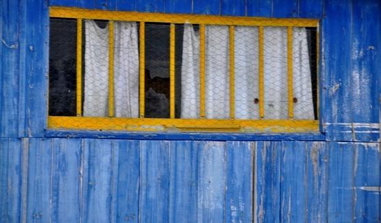 couleurs-oleron-cabanes--2-.JPG