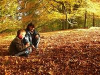 Un jour Parfait Un jour Parfait