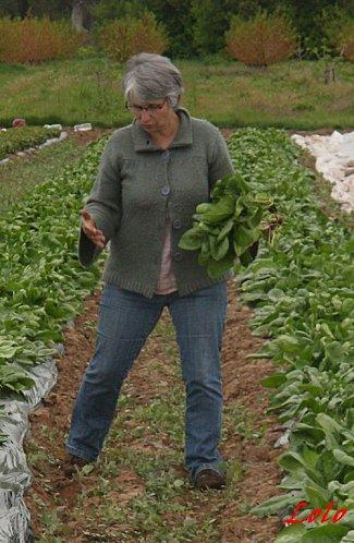 Clin d'oeil à Fabienne... fabienne0.jpg