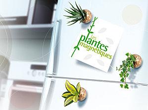 plante_magnets-copie-2.jpg