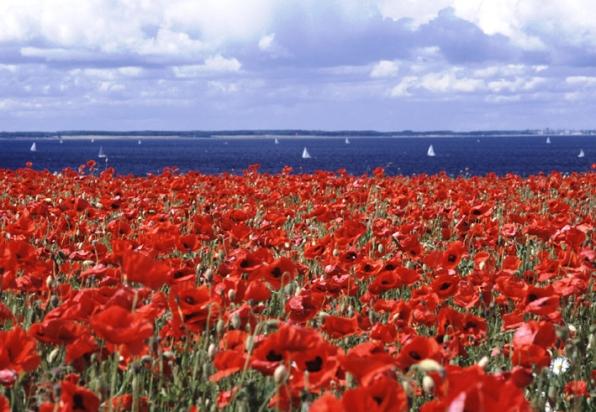 Le choix des mots ... Le choix des mots ...