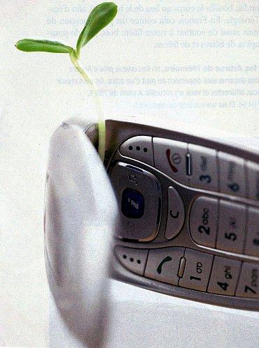 Tout pareil, ou presque... img175.jpg