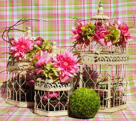 Ouvrez Ouvrez la cage aux oiseaux... Ouvrez Ouvrez la cage aux oiseaux...