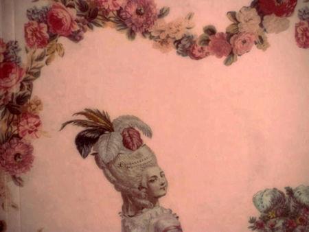 Marie antoinette en chemise 23
