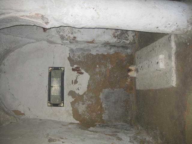 Sidi Moussa (guérisseur-marabout) et l'Arbre sur la Maison Tunisie2010 0319