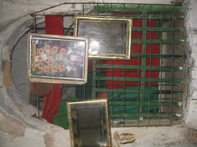 Sidi Moussa (guérisseur-marabout) et l'Arbre sur la Maison Tunisie2010 0320