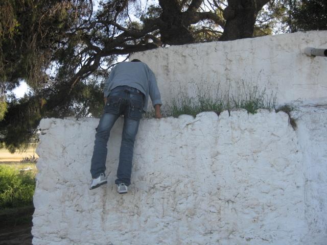 Sidi Moussa (guérisseur-marabout) et l'Arbre sur la Maison Tunisie2010 0322