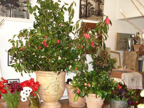 stanislas-draber stanislas-draber