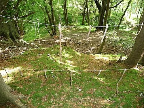 Un jour au parc P1070886.JPG