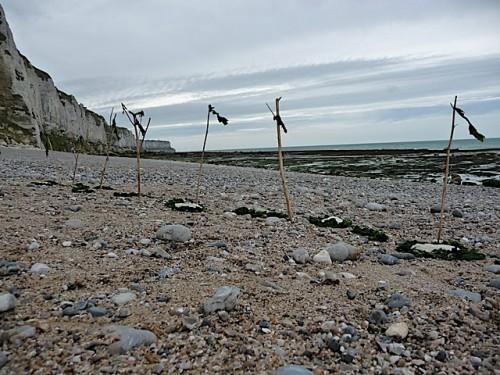 Un jour au parc P1070622.JPG