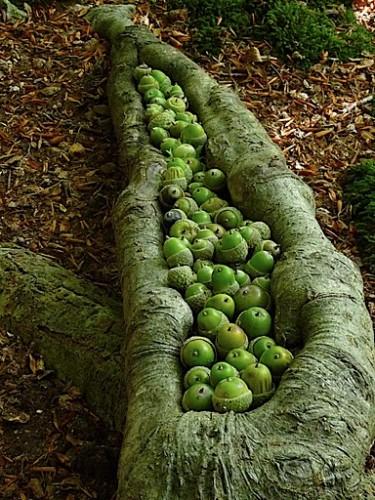 Un jour au parc P1070932.JPG