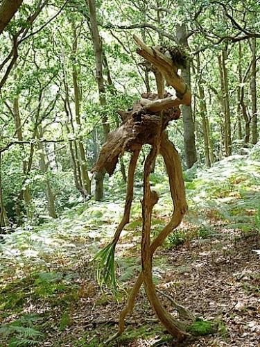 Un jour au parc P1070845.JPG