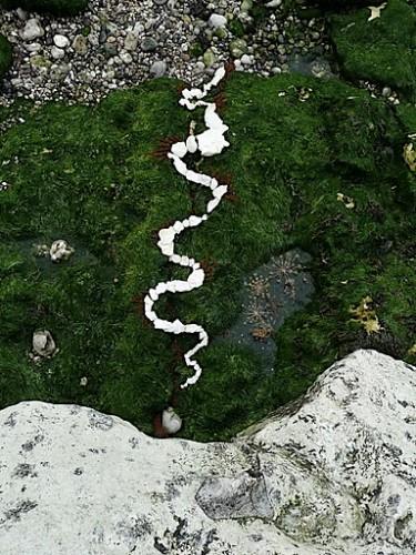 Un jour au parc P1070675.JPG