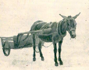 ..Nous v'la-t au Puy-Notre-Dame.Voici un document rare de... ..Nous v'la-t au Puy-Notre-Dame.Voici un document rare de...