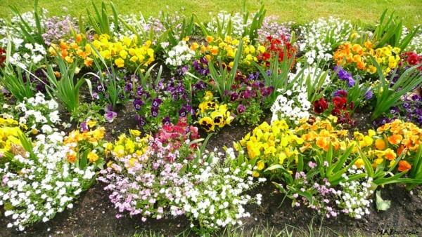 A Lunéville A Lunéville