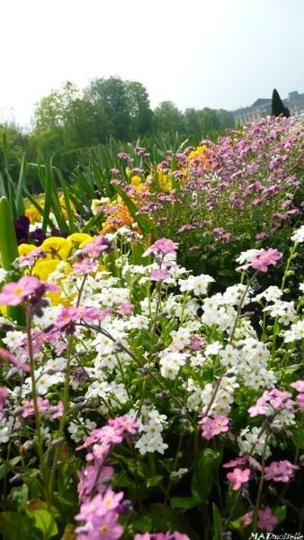 A Lunéville A Lunéville