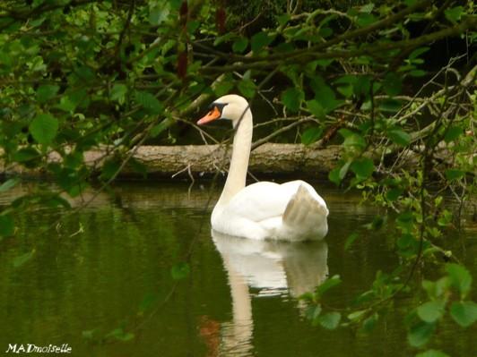 A Lunéville A Lunéville