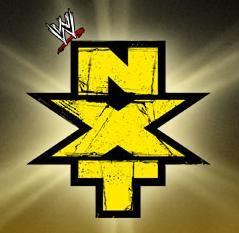 NXT 11 MAI 2010 RESULTATS sanstitre_888a63d16