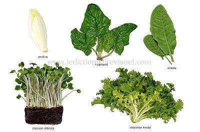 Les légumes feuilles