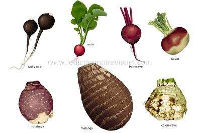 Les légumes racines