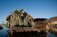 Le lac Inle : La douceur de vivre Birmane