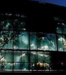 Nuit des musées : passez votre soirée au Muséum