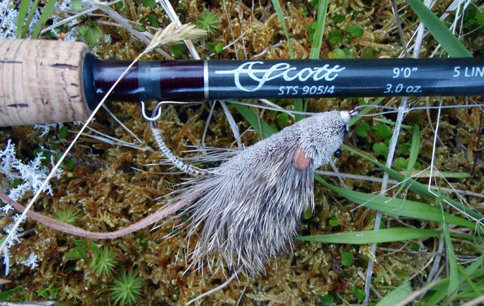 P7270085 VILMO IN NZ – FIORDLAND