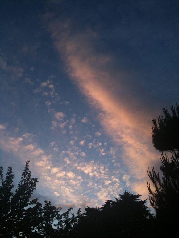 Racha Arodaky chez FO Giesbert ce soir sur France 2 Racha Arodaky chez FO Giesbert ce soir sur France 2